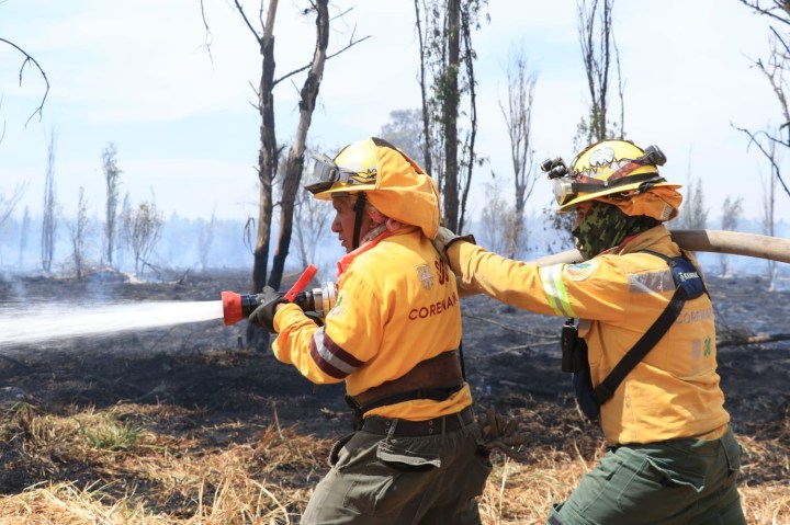 Combatientes de incendios