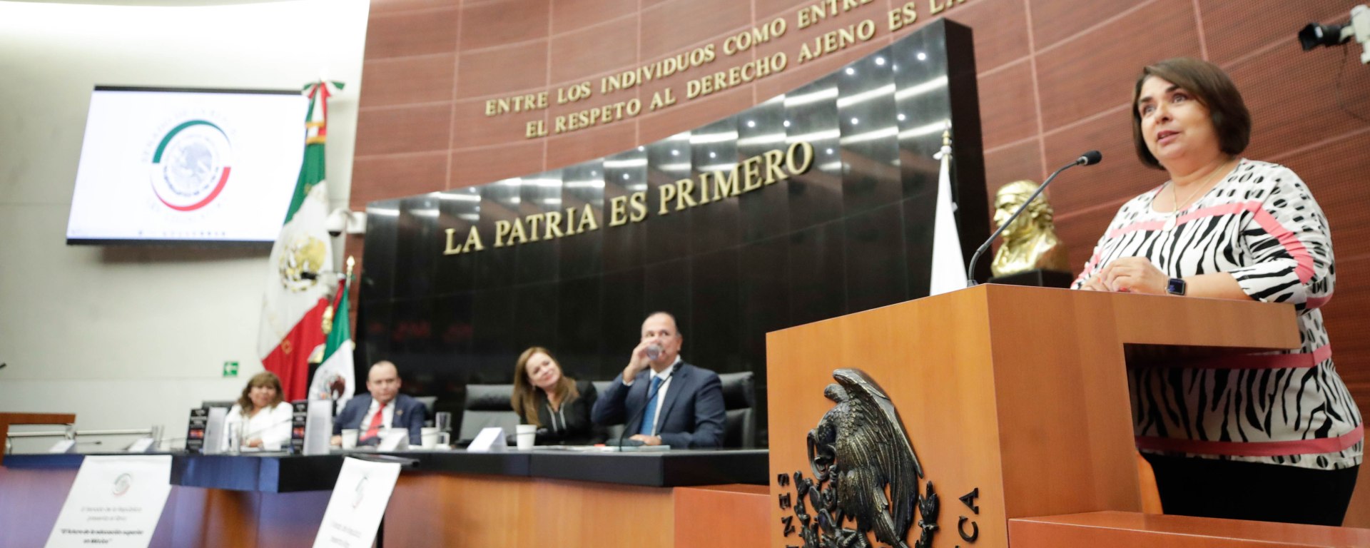 Trabajo en el Senado de la República