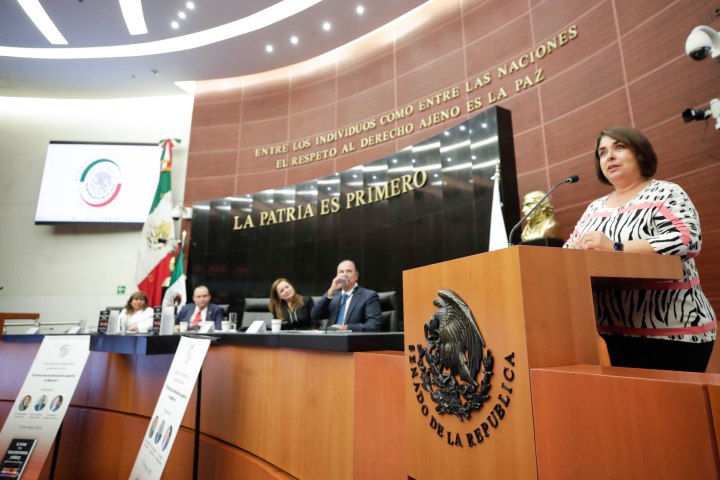 Trabajo en el Senado de la República