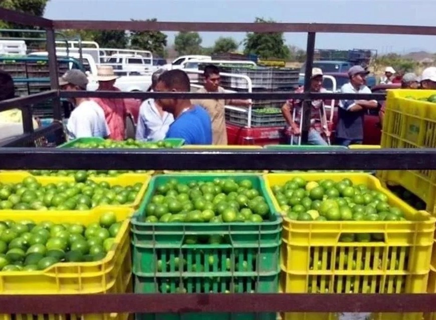 Trabajadores del limón