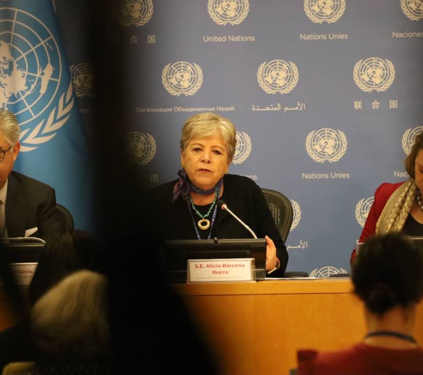 Alicia Bárcena Ibarra