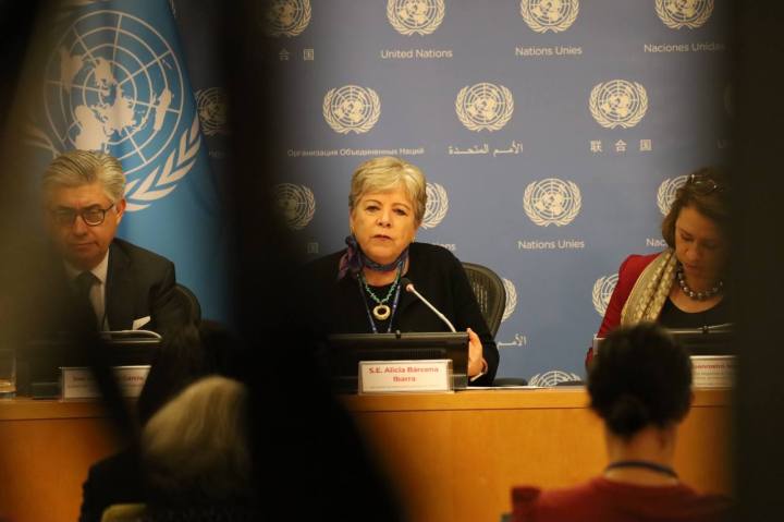 Alicia Bárcena Ibarra