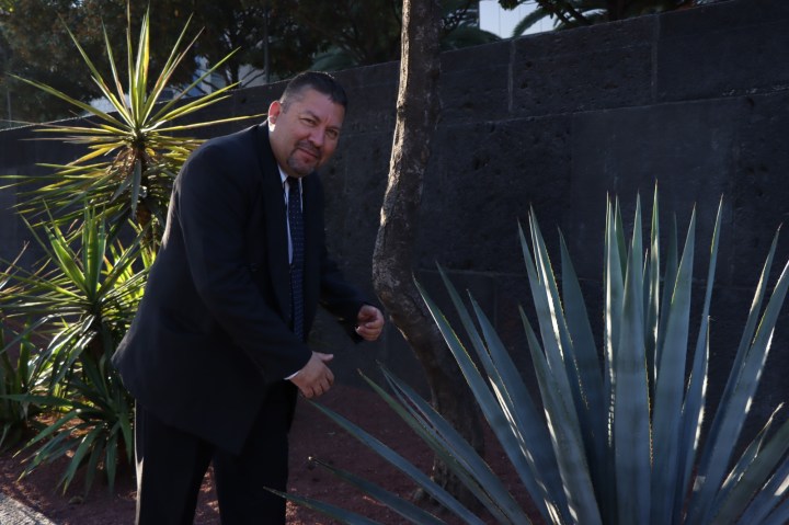 Jesús Rey Fierro Hernández