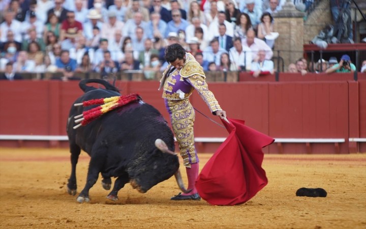 Torero y toro