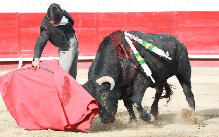 Torero y toro