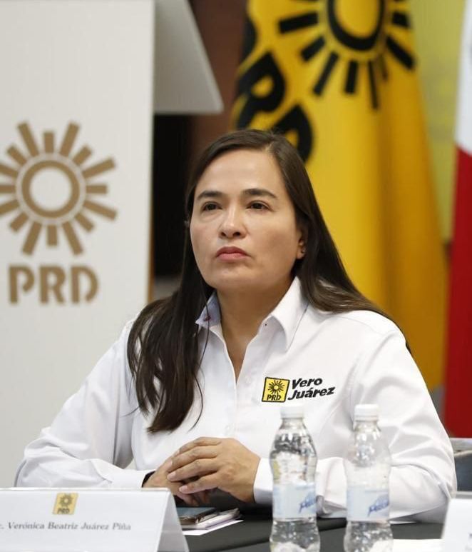 Verónica Juárez Piña