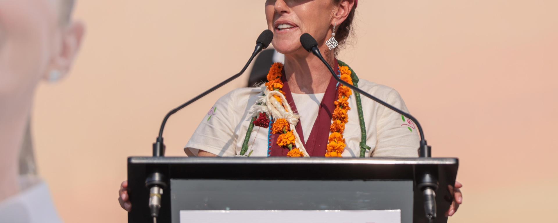 Claudia Sheinbuam Pardo