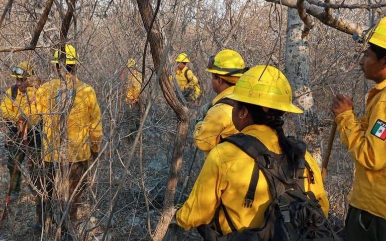 Combatientes de incendios
