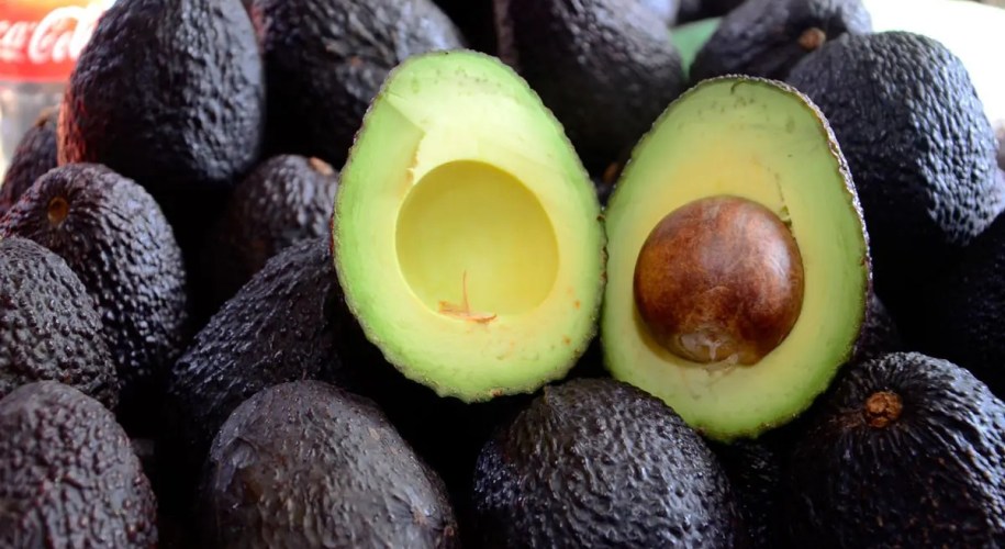 Aguacate