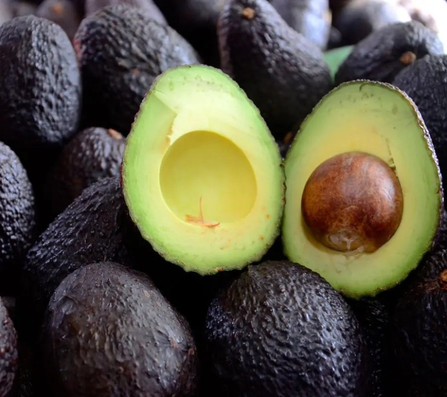 Aguacate