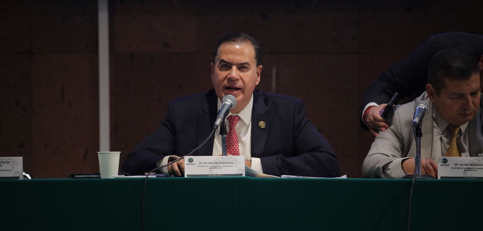 Ricardo Mejía Berdeja