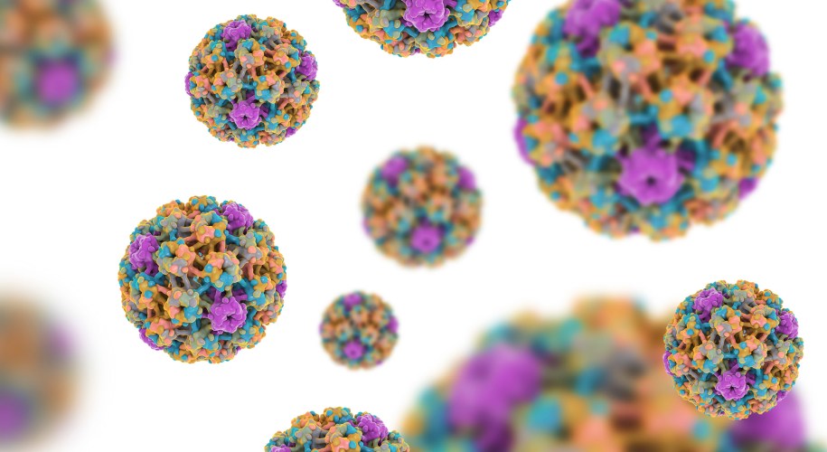 virus