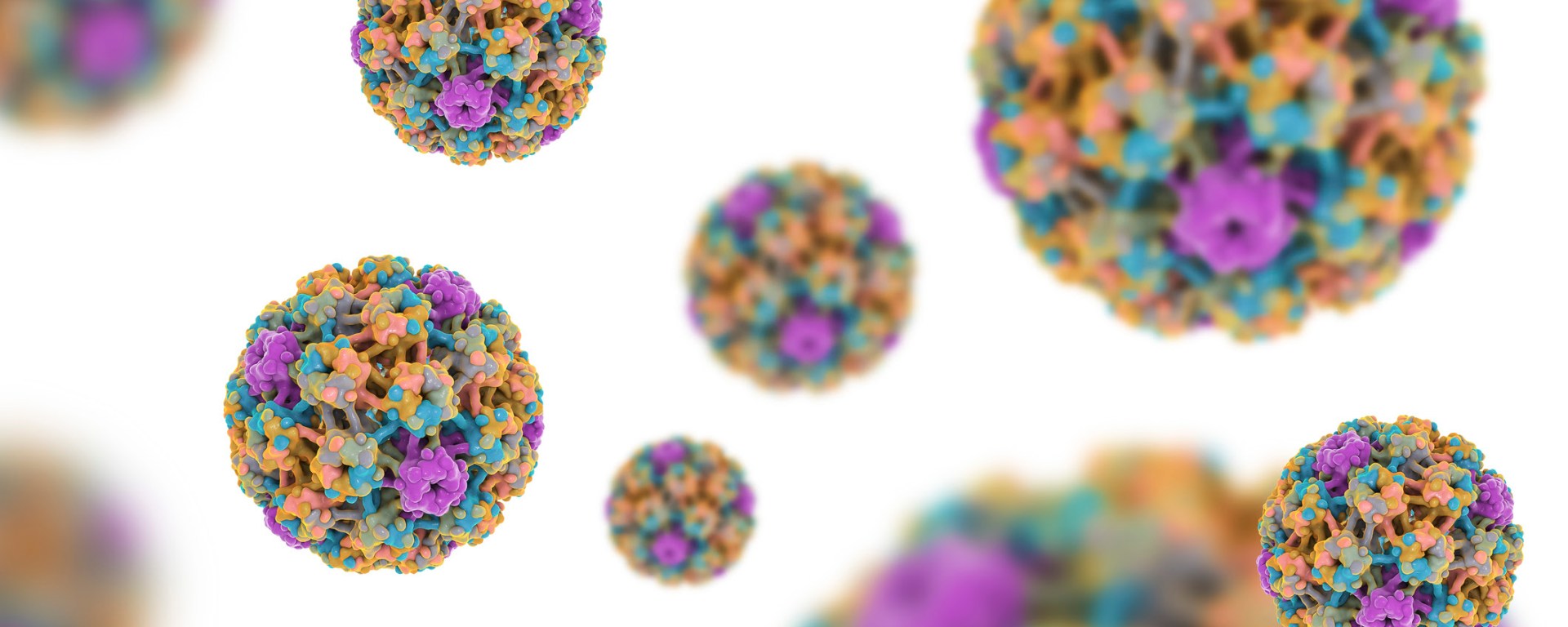 virus