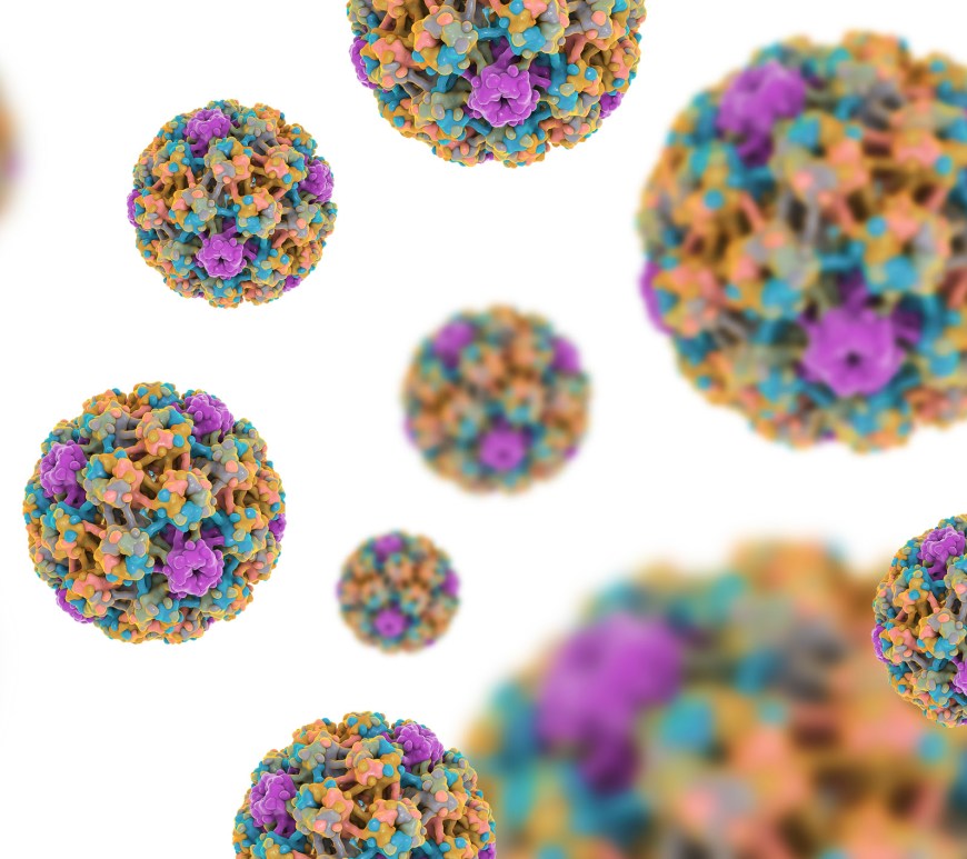 virus