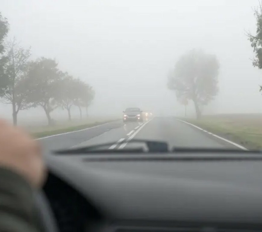 Niebla en vehiculo