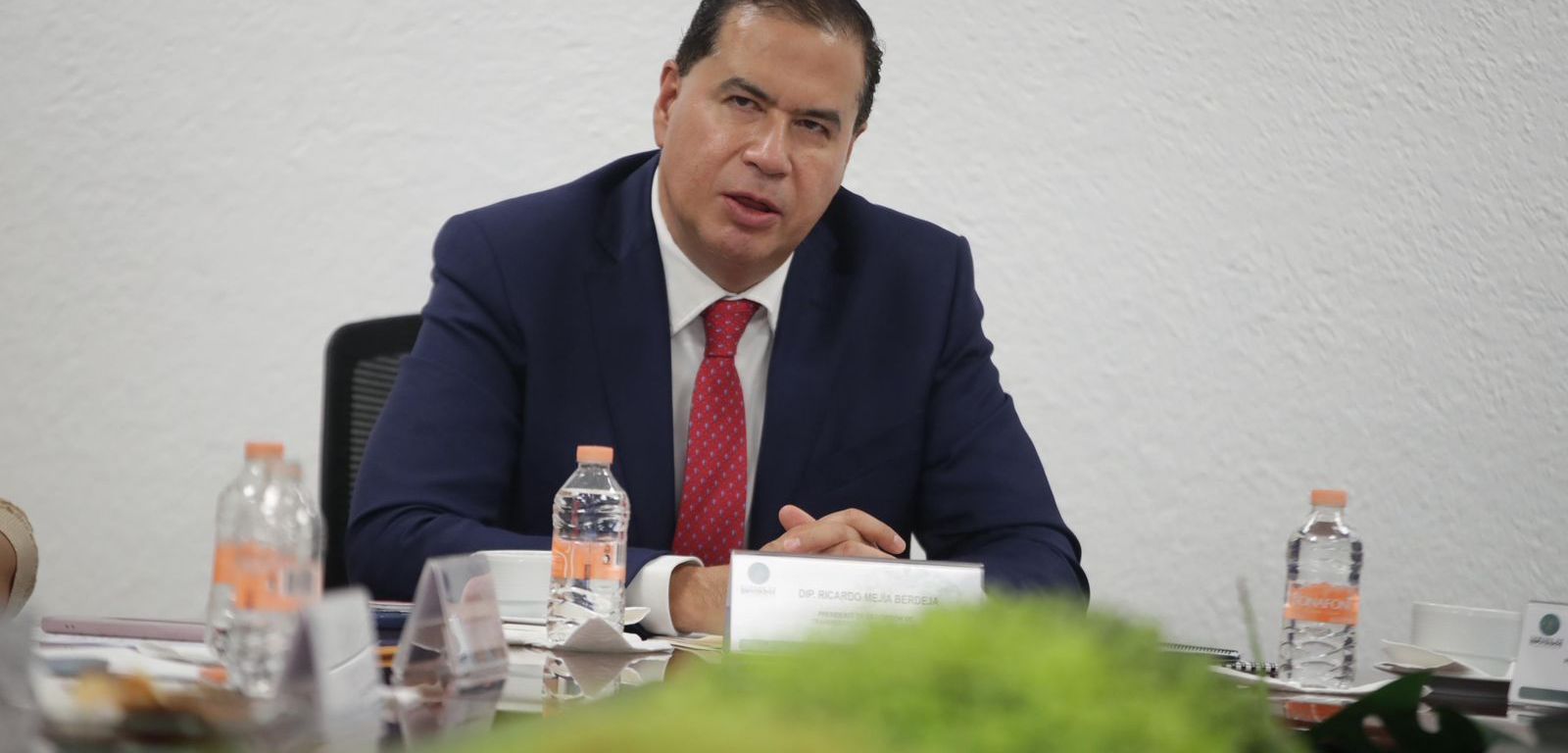 Ricardo Mejia Berdeja