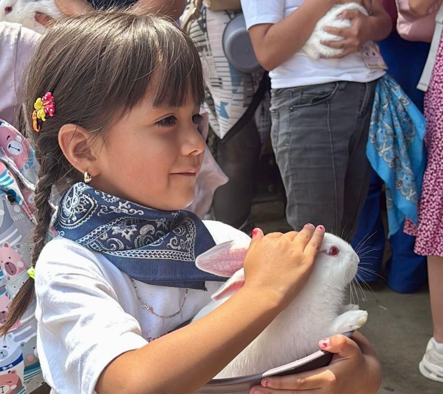 Niña con conejo como mascota