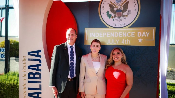 Marina del Pilar Ávila Olmedo