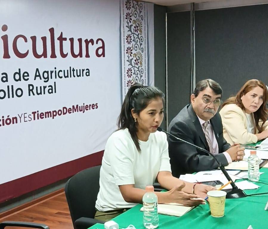 Azucena Arreola Trinidad