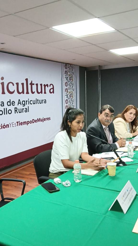 Azucena Arreola Trinidad