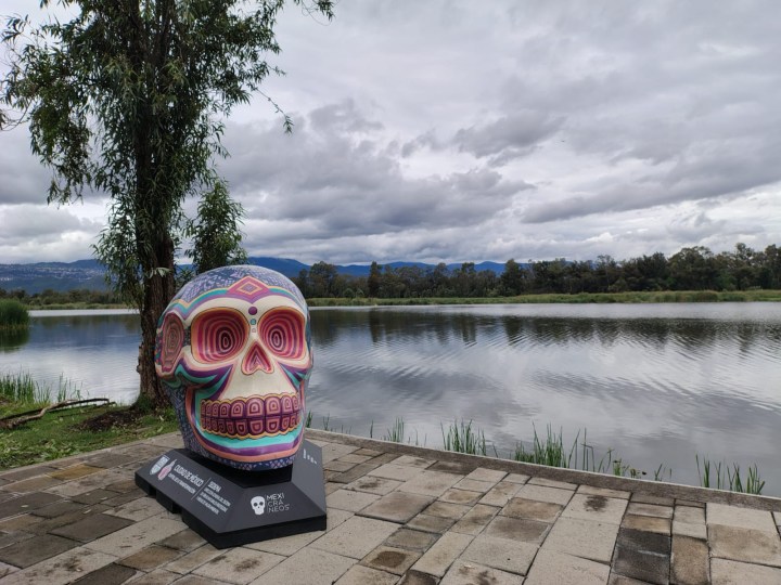 Xochiminlco exposición Mexicraneos