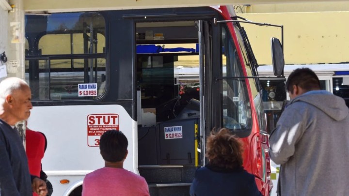 Autobus de transporte publico