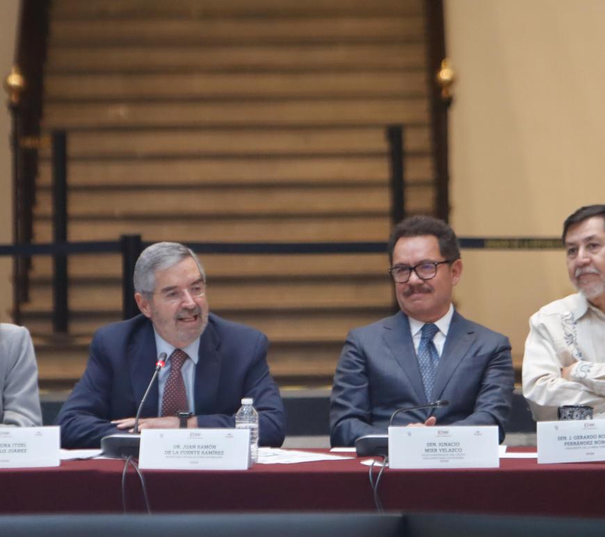 Reunión plenaria de Morena