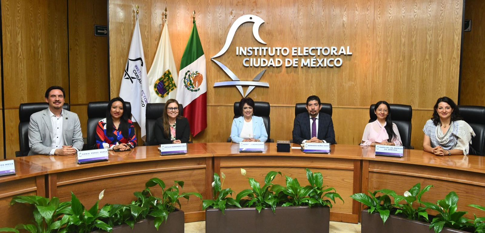 Pleno del IECM