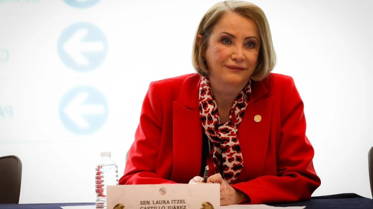 Laura Itzel Castillo