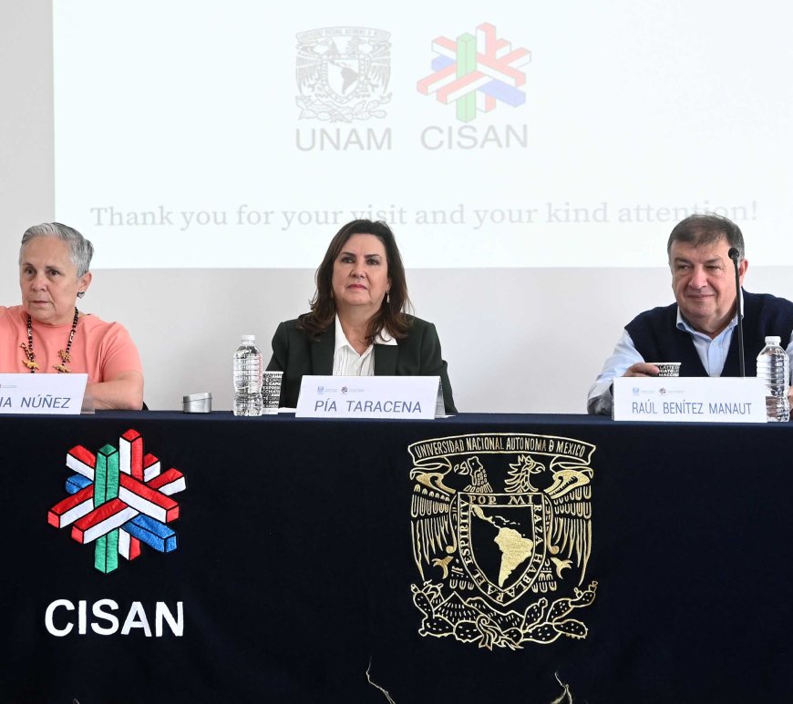 Especialistas en la UNAM