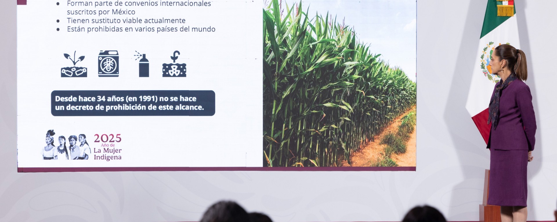 Claudia Sheinbaum Pardo