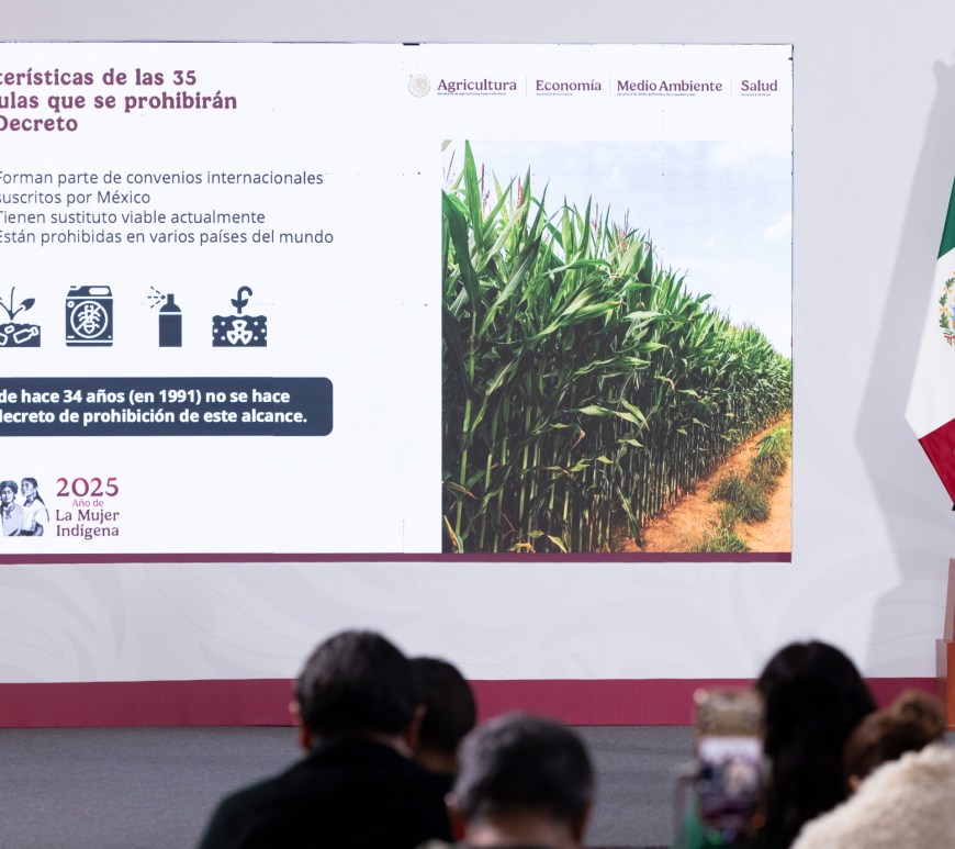 Claudia Sheinbaum Pardo