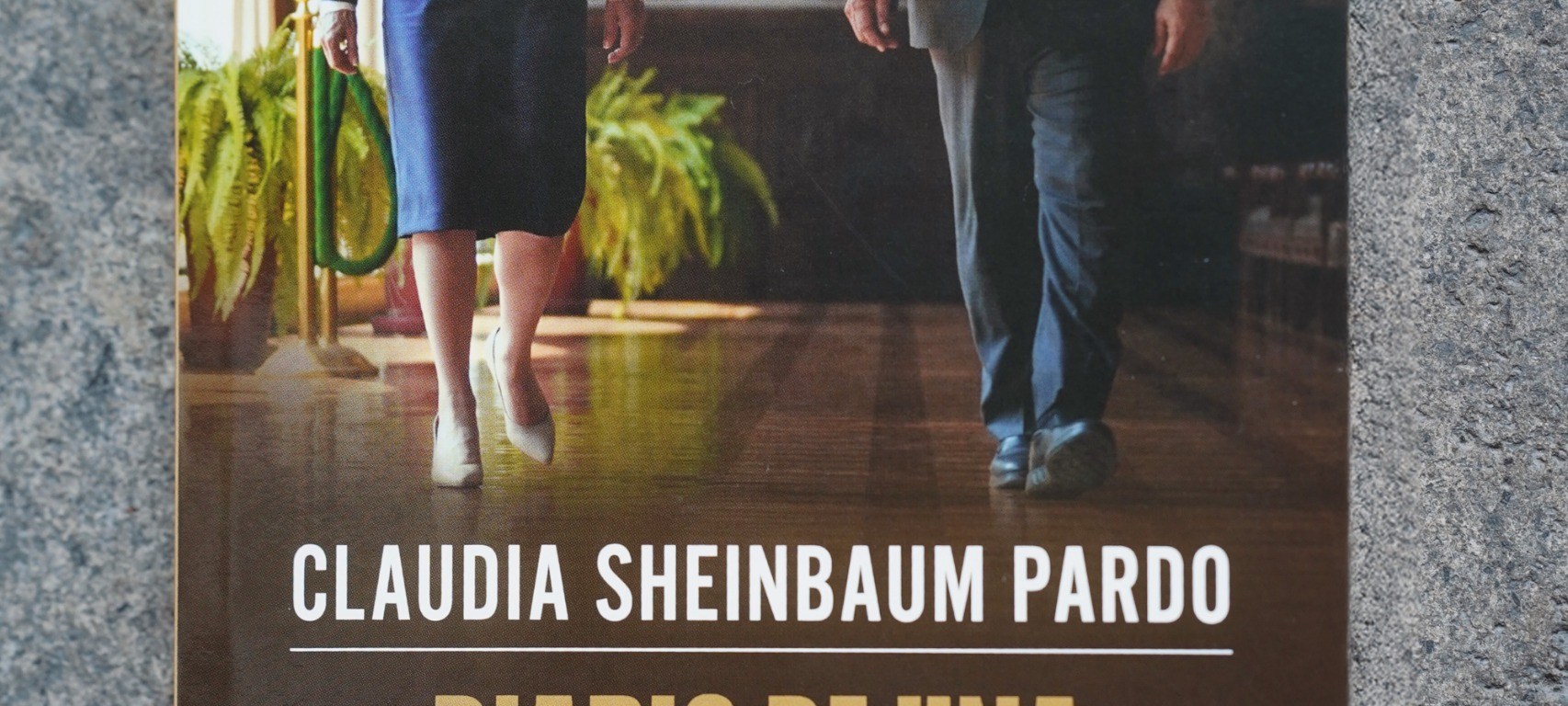 Libro “Diario de una Transición Histórica”