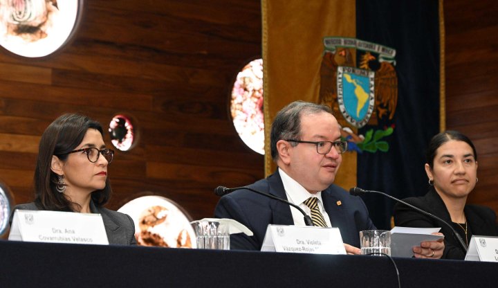 Leonardo Lomelí Vanegas