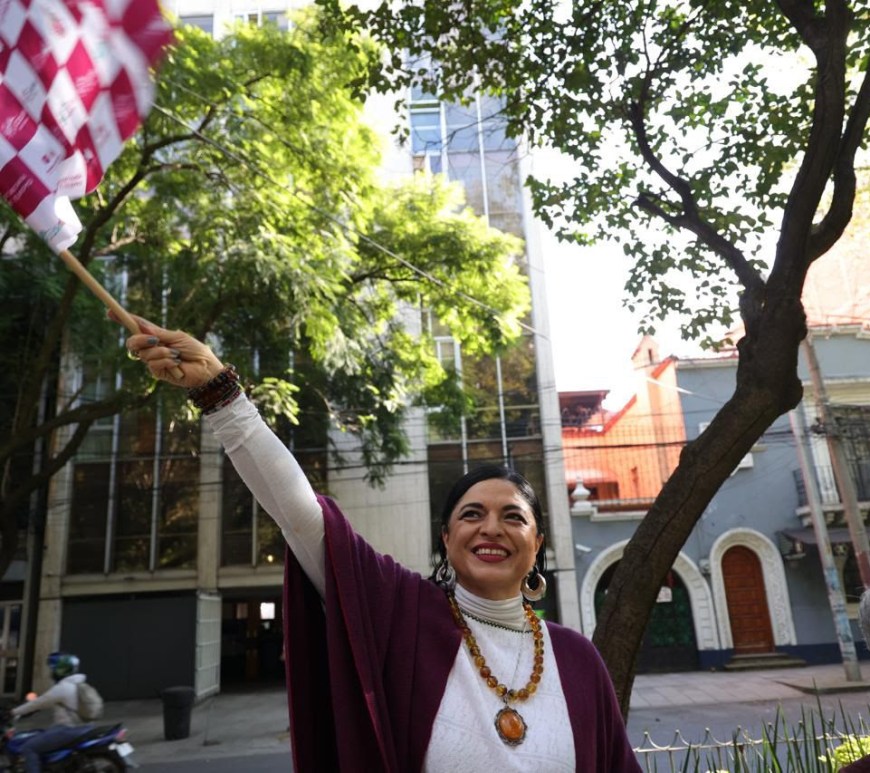 Alejandra Frausto Guerrero