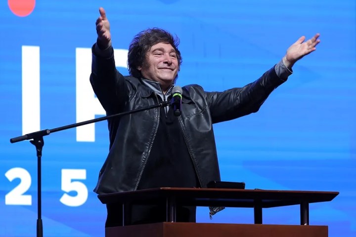 Javier Milei |  EFE/ Eduardo Velázquez 