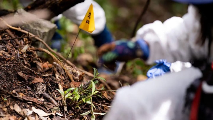 Peritos en zona de crimen