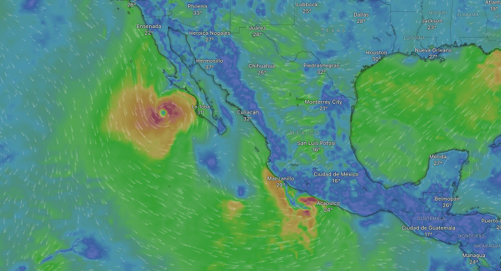"Raymond" y "Priscilla"