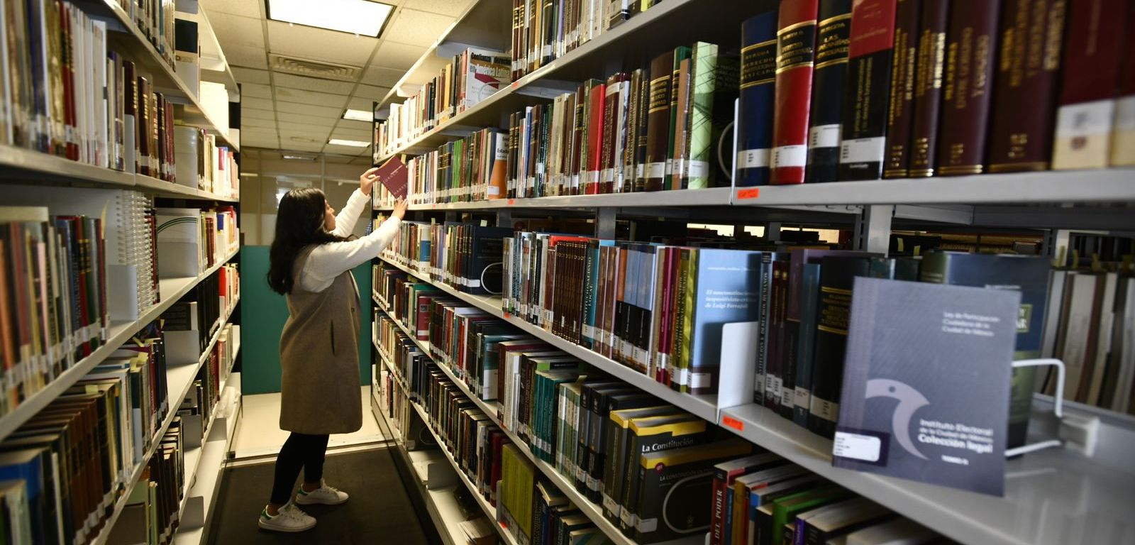 Persona en bibilioteca