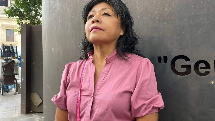 María Luisa Villanueva 