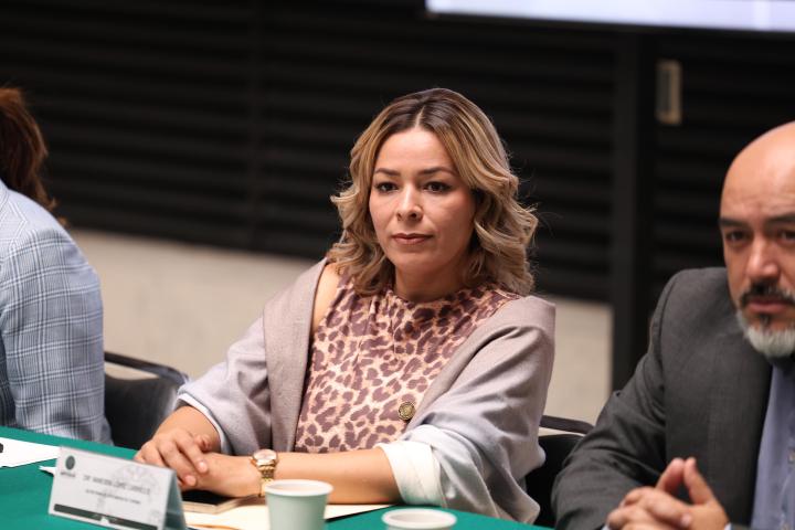 Vanessa López Carrillo