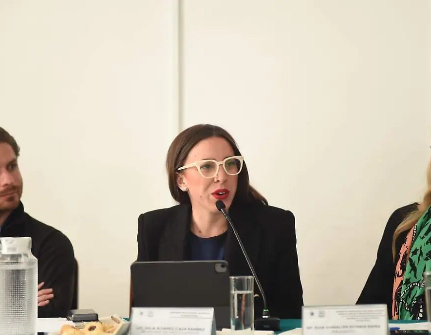 Julia Álvarez Icaza Ramírez