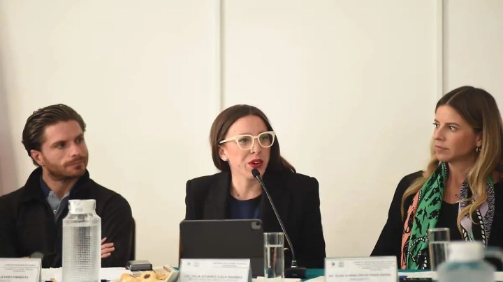 Julia Álvarez Icaza Ramírez