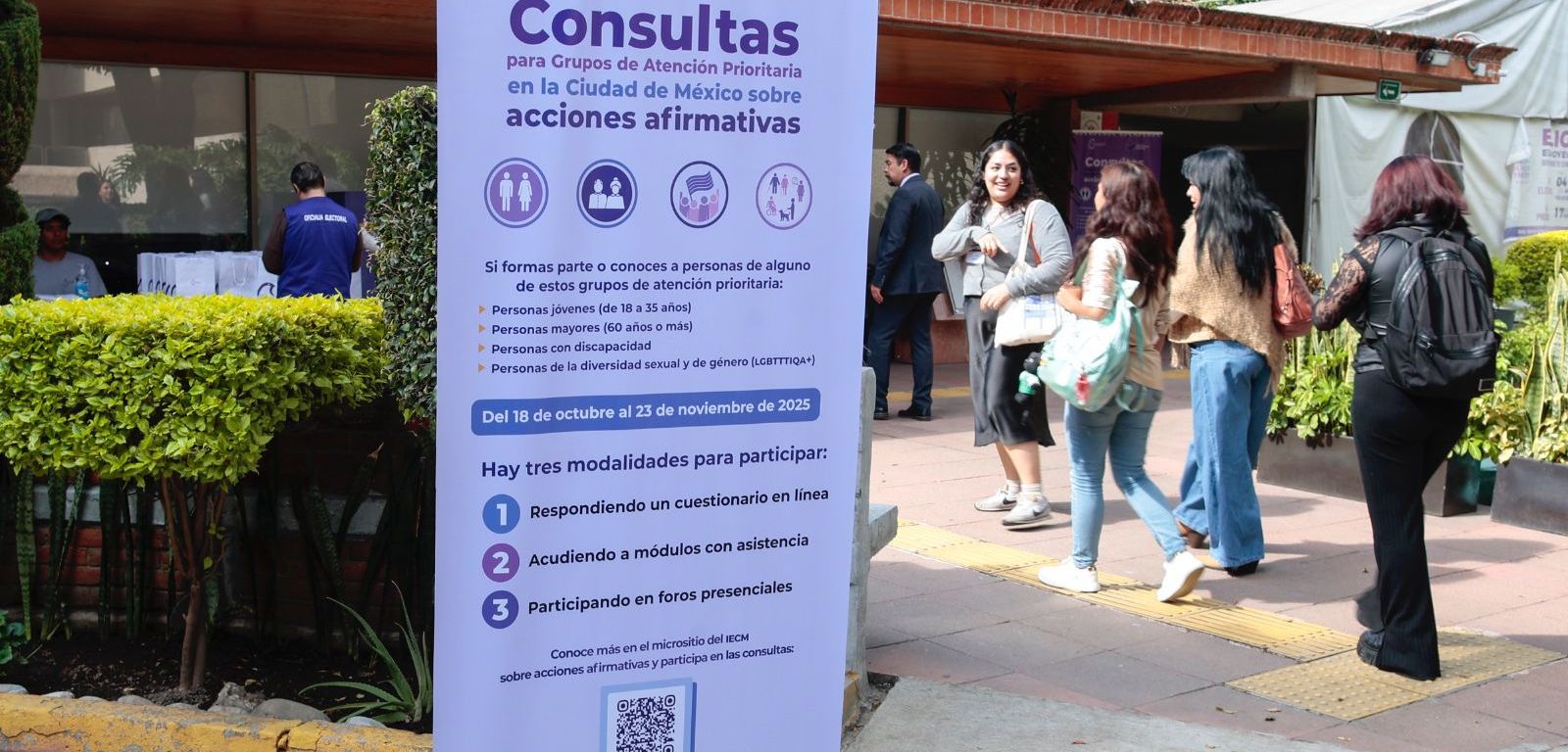 Consulta del IECM