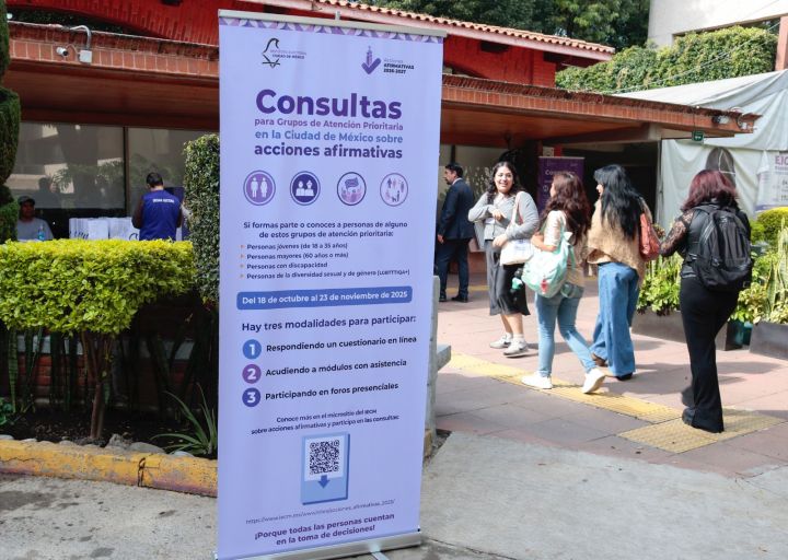 Consulta del IECM