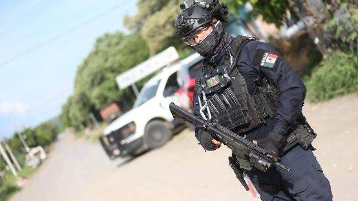 Policia estatal