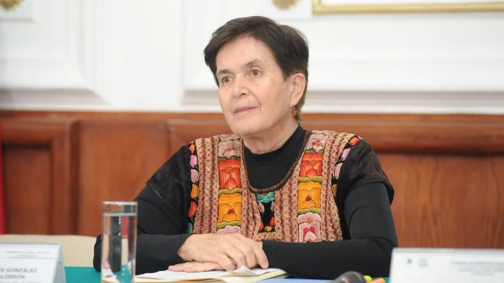 María Dolores González Saravia Calderón