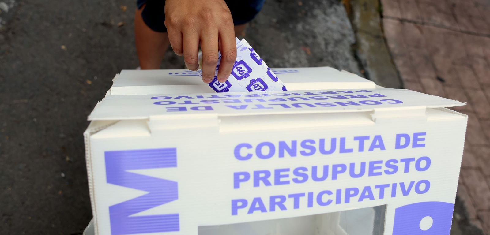 Consulta de presupuesto participativo