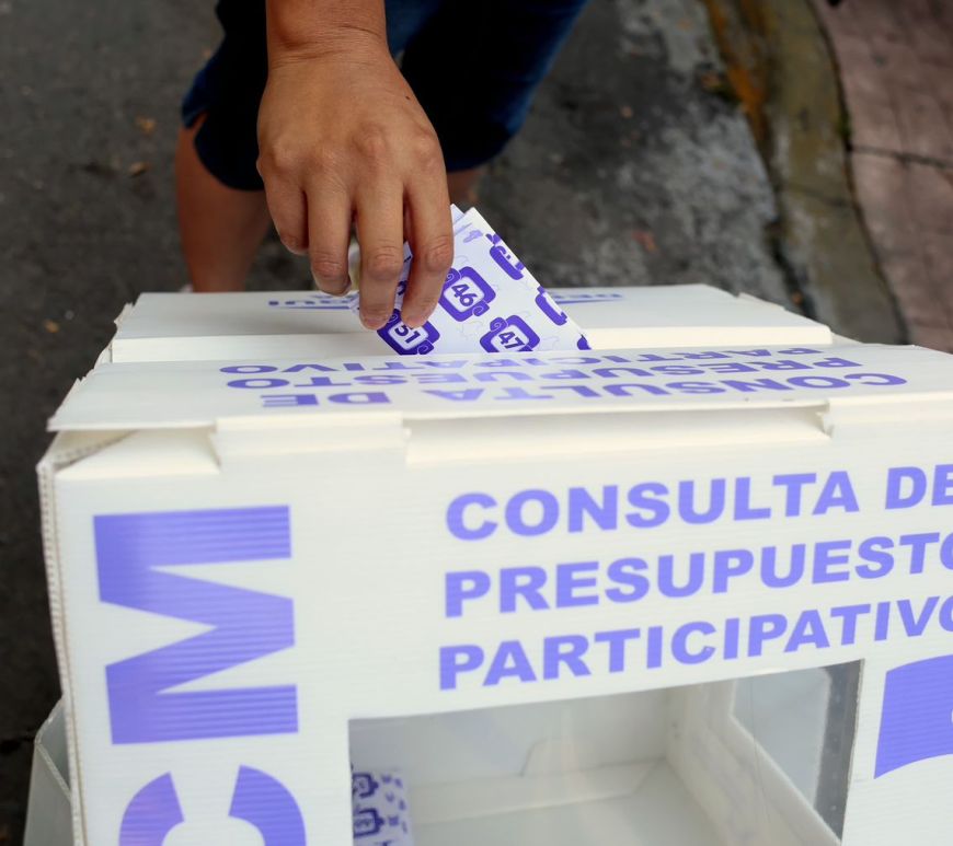 Consulta de presupuesto participativo