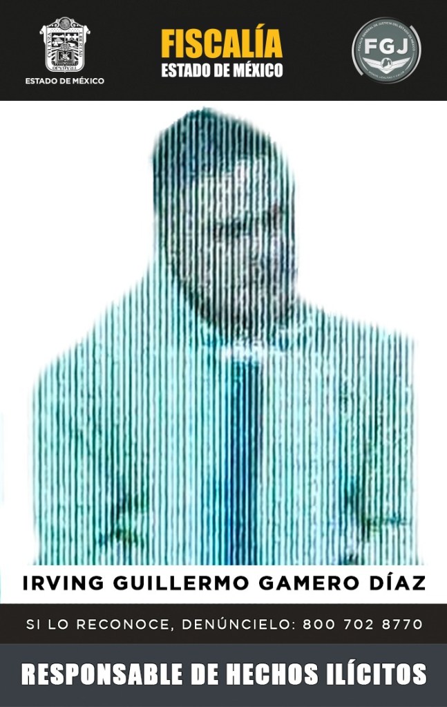 Irving Guillermo Gamero Díaz